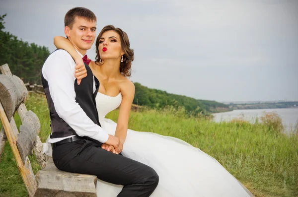 Newlyweds at summer forest — Stock Photo, Image