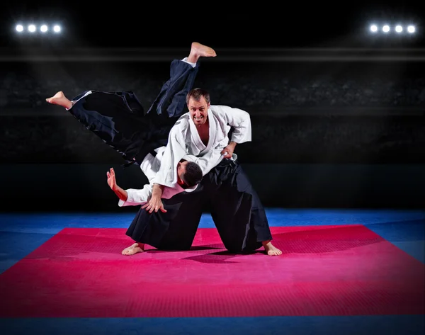 Iki aikido savaşçıları mücadele — Stok fotoğraf