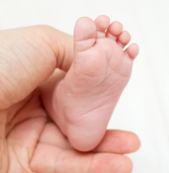 Bein des kleinen Babys — Stockfoto