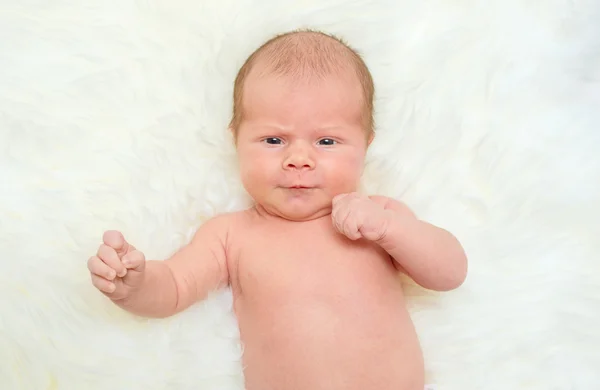 Nyfödd baby — Stockfoto