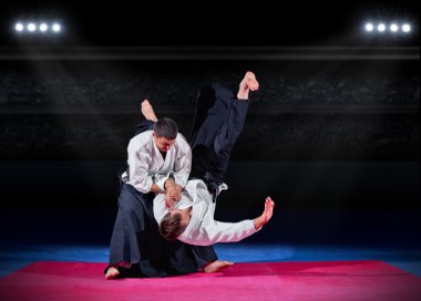 iki aikido savaşçıları mücadele