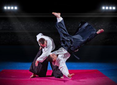 iki aikido savaşçıları mücadele