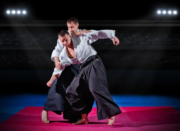 Luta entre dois lutadores de artes marciais — Fotografia de Stock