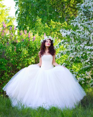 Gelin çiçek açan elma ağaçlarının arka plan üzerinde