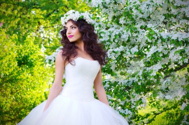 Gelin çiçek açan elma ağaçlarının arka plan üzerinde