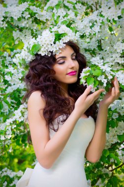 Gelin çiçek açan elma ağaçlarının arka plan üzerinde