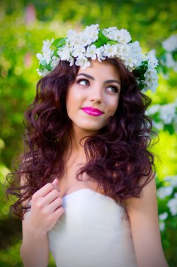 Gelin çiçek açan elma ağaçlarının arka plan üzerinde