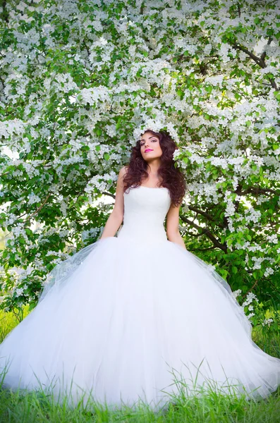 A háttérben a virágzó almafák menyasszony — Stock Fotó