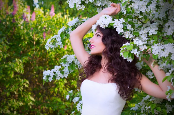 Bride on the background of blooming apple trees — Stock Photo, Image