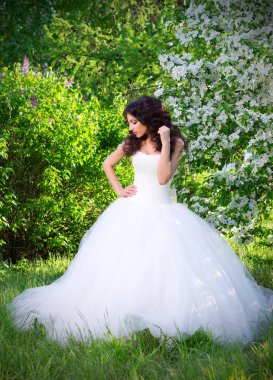 Gelin çiçek açan elma ağaçlarında