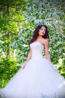 Gelin çiçek açan elma ağaçlarında