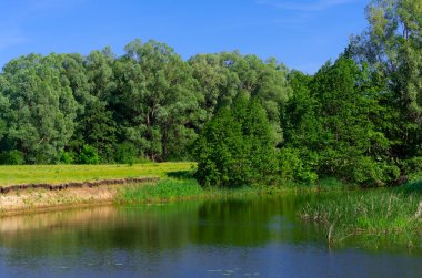 Orman Nehri kıyısında