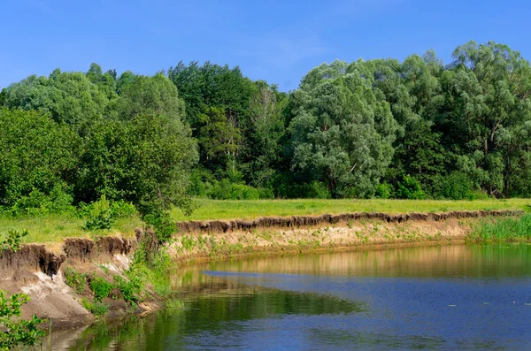 Costa del río bosque — Foto de Stock