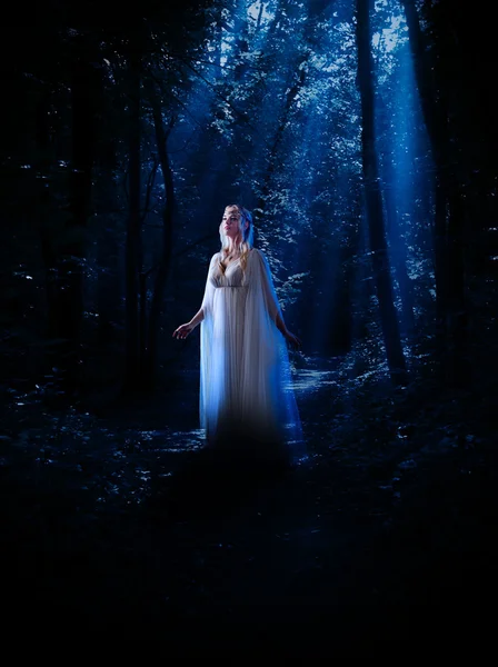 Elven chica en el bosque nocturno — Foto de Stock