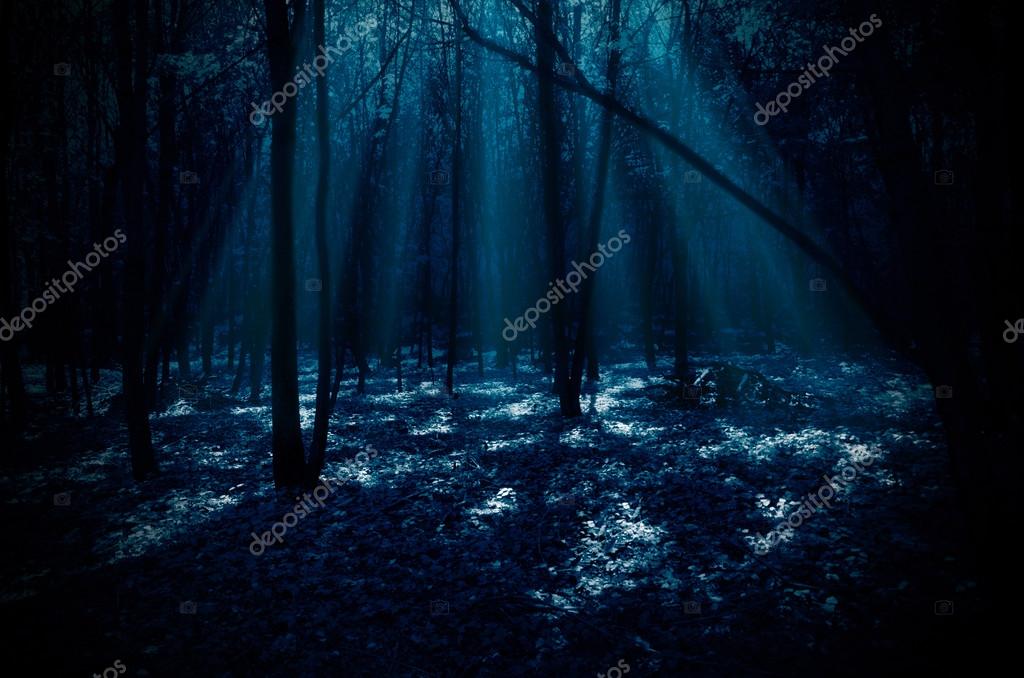 Nuit De La Foret Images Libres De Droit Photos De Nuit De La Foret Depositphotos Nuit De La Foret Images Libres De Droit Photos De Nuit De La Foret Depositphotos