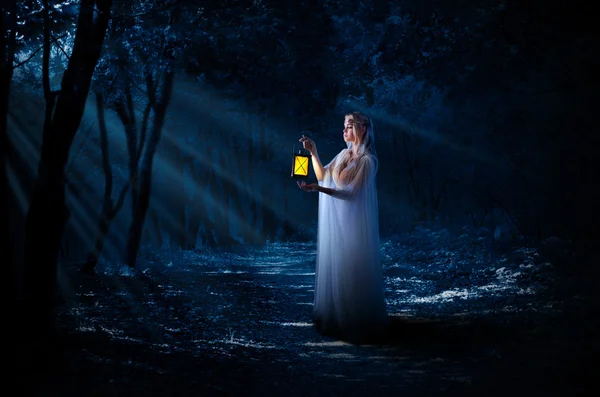 Elven meisje met lantaarn in nacht bos — Stockfoto