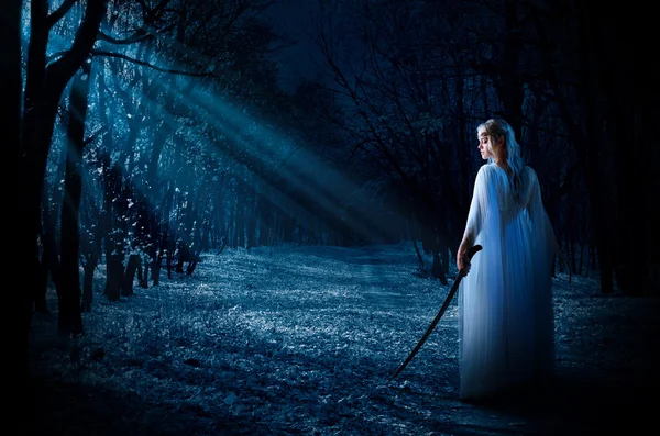 Elven meisje met zwaard in nacht bos Stockfoto
