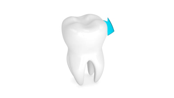 Animação Dente Com Setas Rotativas Conceito Protecção Dos Dentes — Vídeo de Stock