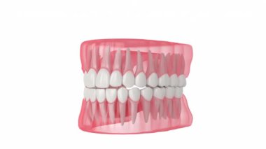 Beyaz arkaplanda kırık diş köküne sahip çene