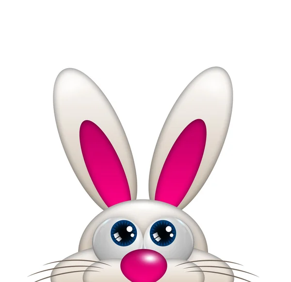 查找孤立在白色的复活节卡通兔子 — 图库照片