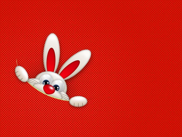 Easter bunny hiding in pocket — Stock Photo, Image