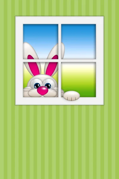 Osterhase schaut aus dem Fenster — Stockfoto