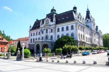 Ljubljana Üniversitesi. Slovenya