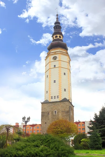 Grenzstein in Strzelin — Stockfoto