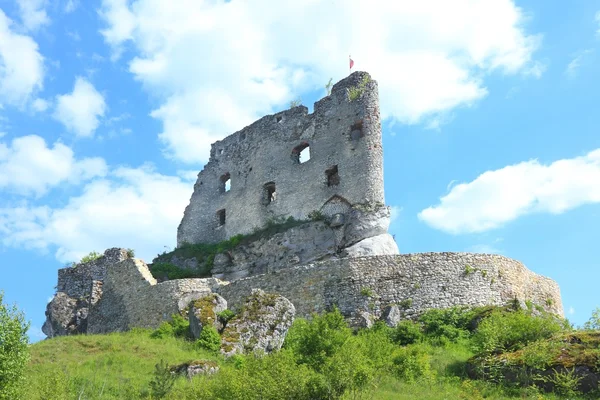 Antiguo castillo en ruinas en Mirow — Foto de Stock