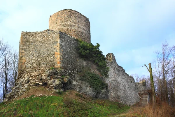 Castle Wlen — Stock Photo, Image