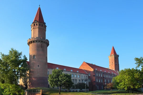 Château de Piast — Photo