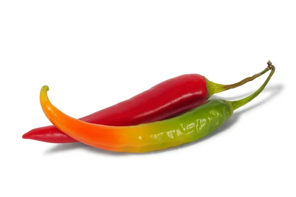 Rote und grüne Chilischote — Stockfoto