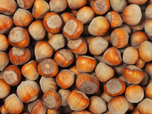 Noisettes avec coquilles sur blanc — Photo