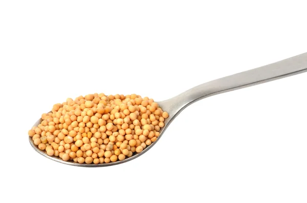 Cucchiaio con semi di senape — Foto Stock