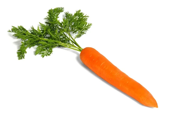 Cenoura fresca em branco — Fotografia de Stock
