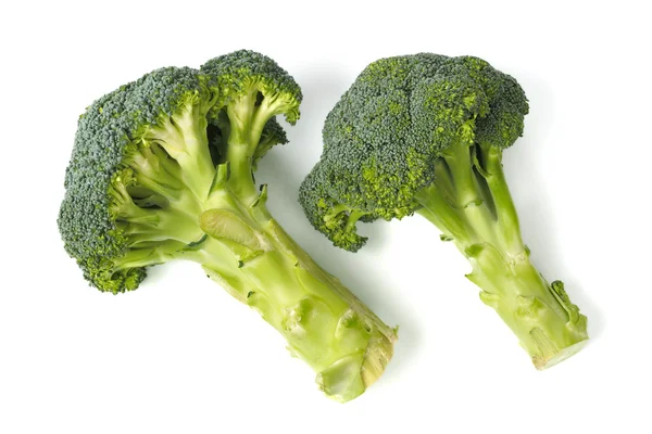 Dos brócoli sobre blanco —  Fotos de Stock