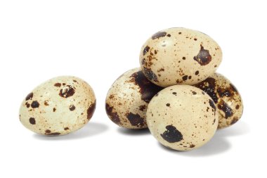 bıldırcın yumurtası