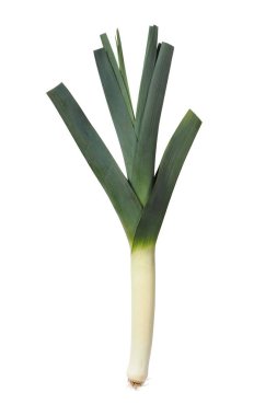 Pırasa beyaz arkaplanda izole