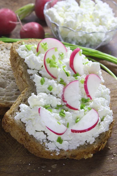 Bread with cottage cheese , radish and chives Royalty Free Stock Images
