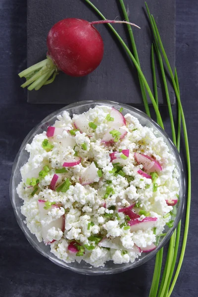 Cottage cheese with radish and chives Royalty Free Stock Photos