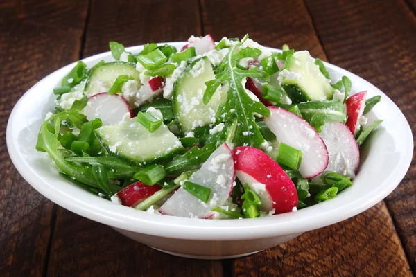 Salad with arugula, cucumber, cottage cheese and radish — Stock Photo, Image