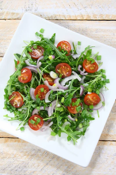 Salada com rúcula, tomate e cebola vermelha Fotografias De Stock Royalty-Free