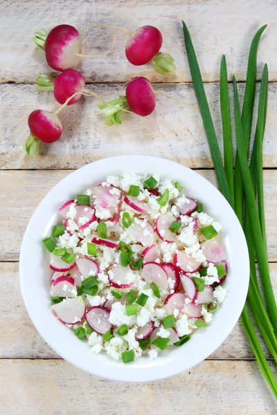 Queijo cottage com rabanete e cebolinha — Fotografia de Stock