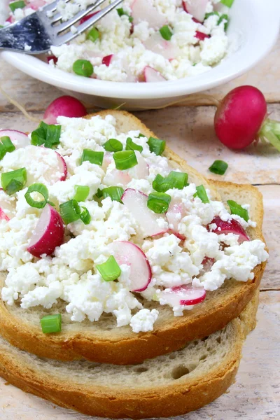 Bread with cottage cheese , radish and chives — Stock Photo, Image
