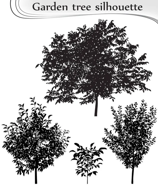 Silhouettes Garden Trees Plum Walnut — Stock Vector