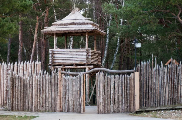 Torre di osservazione in legno — Foto Stock