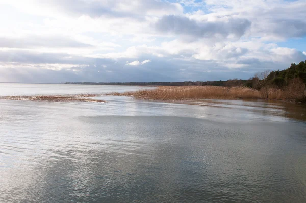 Landschaft aus See und Schilf — Stockfoto