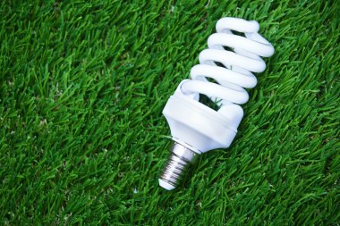 Enerji tasarruflu ampul çim