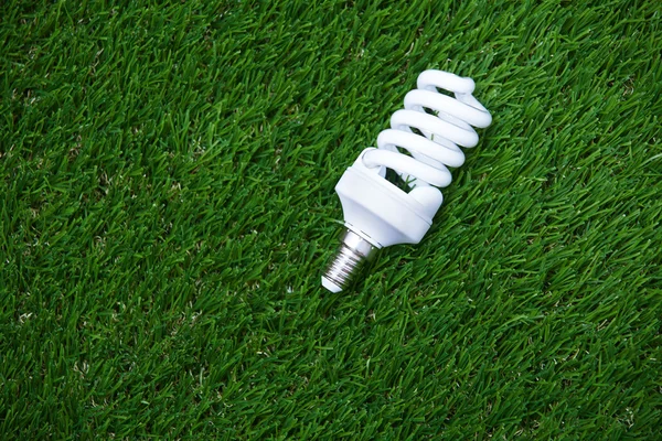 Energy saving bulb in the grass — Stock Photo, Image