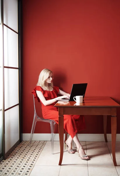 Schöne Junge Erwachsene Frau Mit Rotem Overall Und Funktionierendem Laptop — Stockfoto
